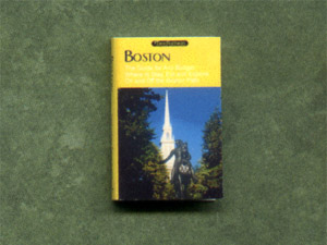 travel book