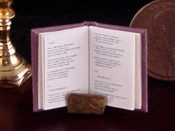 readable miniature book