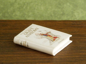 miniature medical book