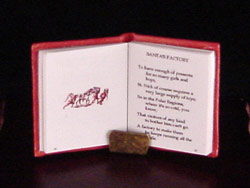 readable miniature book