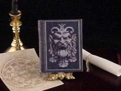 miniature Book of Shadows