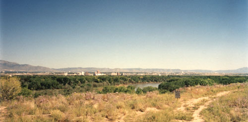 Albuquerque