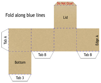 box diagram