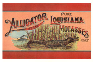 Molasses